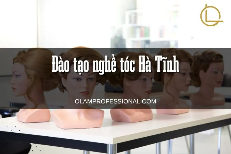 Top 9 Địa Chỉ Đào Tạo Nghề Tóc Hà Tĩnh Uy Tín Chất Lượng