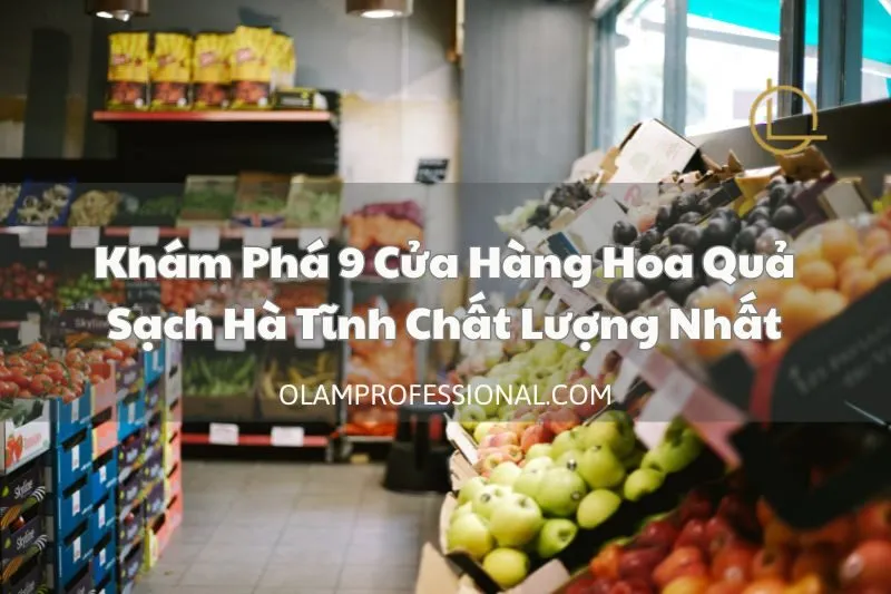Khám Phá 9 Cửa Hàng Hoa Quả Sạch Hà Tĩnh Chất Lượng Nhất