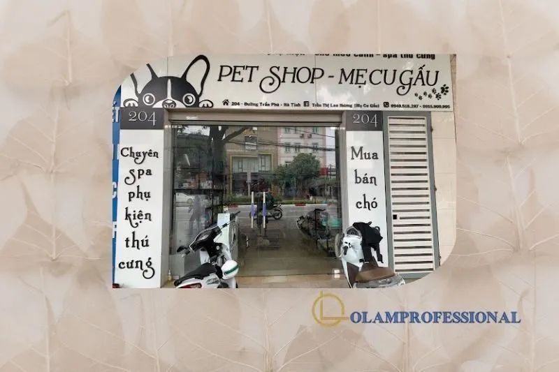 PET SHOP Mẹ cu gấu