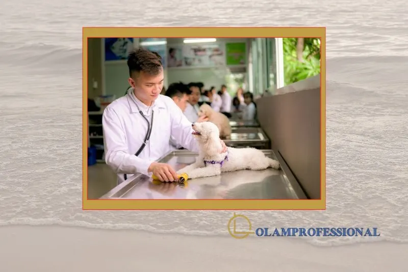 Phòng khám thú y Pet 38