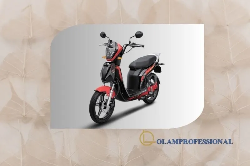 Xe Hoàng Gia - Hòa Mình Trong Không Gian Sang Trọng